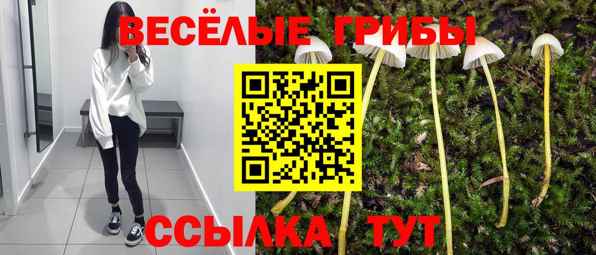 Галлюциногенные грибы мухоморы  Псилоцибиновые грибы ЛСД  Вход с VPN  Миллерово 