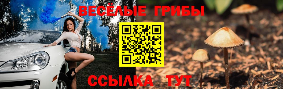 Псилоцибиновые грибы Cubensis Миллерово