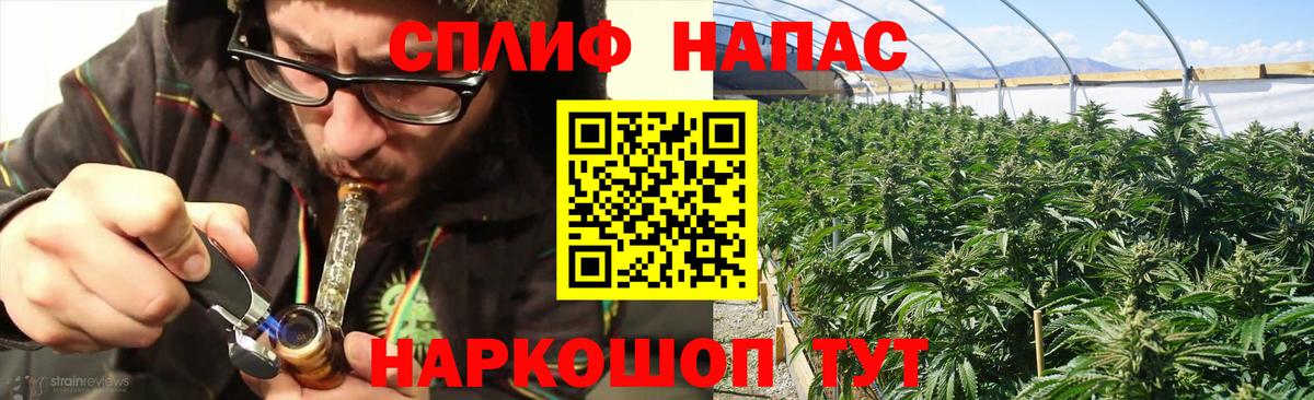 Бошки марихуана MAZAR Миллерово