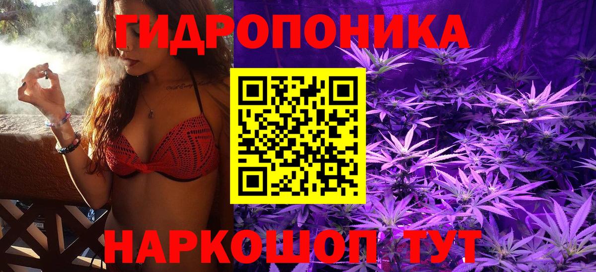 Бошки Шишки планчик  Бошки Шишки конопля  МАРИХУАНА план  Вход с VPN  Миллерово 